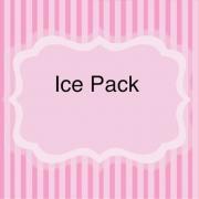 1-Ice Pack To Prevent Goodies From Melting